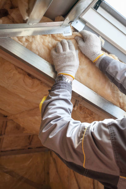 Best Insulation Repair Services  in Highlands, NC
