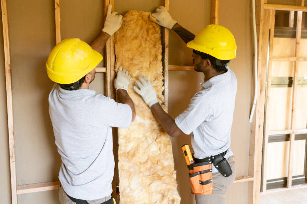 Best Wall Insulation Contractor  in Highlands, NC