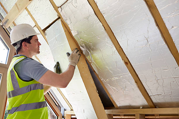Best Insulation Contractors for Homes  in Highlands, NC