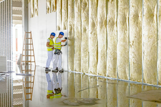 Best Soundproof Insulation Installation  in Highlands, NC